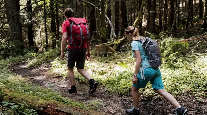 Zwei Wanderer auf dem Weg durch einen Wald | © DAV/Hans Herbig
